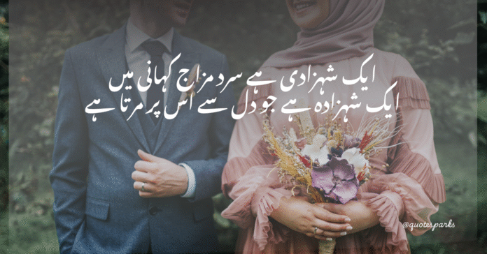 wife quotes in urdu
